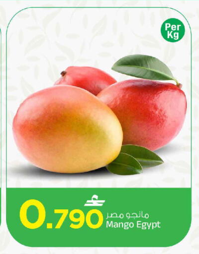 Mango من Egypt متوفر لدى مارك & سايف في عُمان - مسقط‎