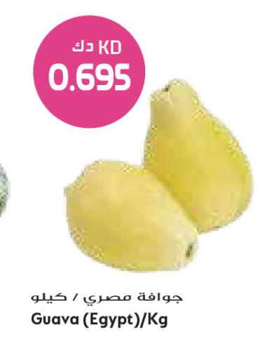 Guava from Egypt available at Grand Costo in Kuwait - Ahmadi Governorate