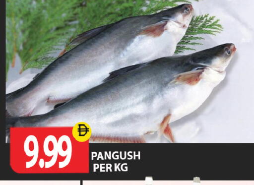 available at Gulf Hypermarket LLC in UAE - Ras al Khaimah