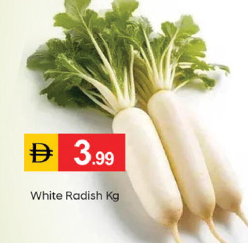 Radish available at TALAL MARKET in UAE - Fujairah