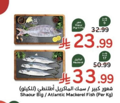 متوفر لدى هايبر بنده في مملكة العربية السعودية, السعودية, سعودية - عنيزة