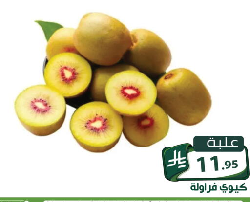 available at Family Discount in KSA, Saudi Arabia, Saudi - Riyadh