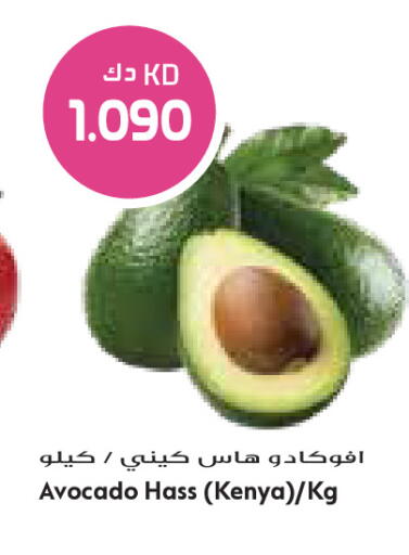 Avocado from Kenya available at Grand Costo in Kuwait - Ahmadi Governorate