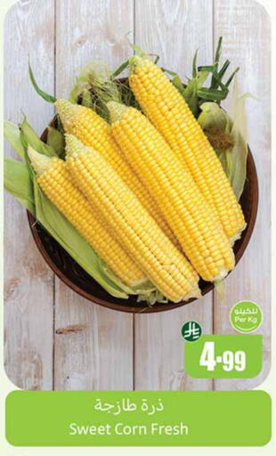 available at Othaim Markets in KSA, Saudi Arabia, Saudi - Al Hasa