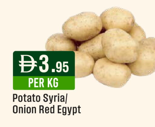Potato Onion من Syria Egypt متوفر لدى ويست زون سوبرماركت في الإمارات العربية المتحدة , الامارات - الشارقة / عجمان