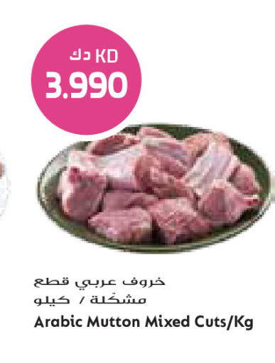available at Grand Costo in Kuwait - Kuwait City