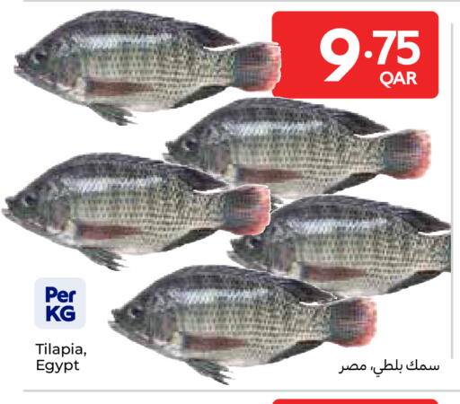 available at Carrefour in Qatar - Al-Shahaniya