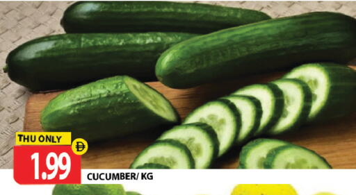 Cucumber متوفر لدى جلف هايبرماركت ذ.م.م في الإمارات العربية المتحدة , الامارات - رَأْس ٱلْخَيْمَة