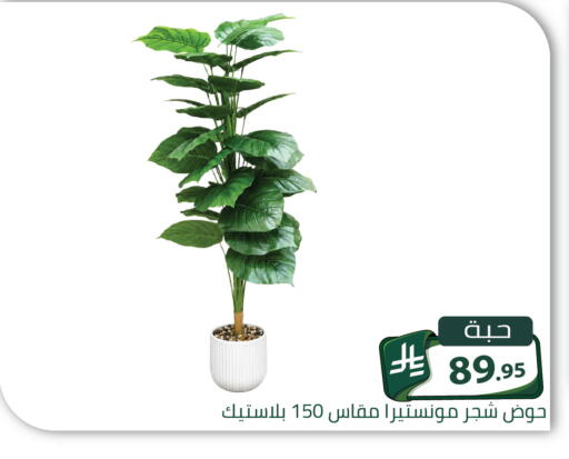 متوفر لدى تخفيضات العائلة في مملكة العربية السعودية, السعودية, سعودية - الرياض