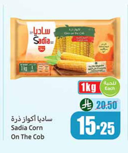 available at Othaim Markets in KSA, Saudi Arabia, Saudi - Qatif