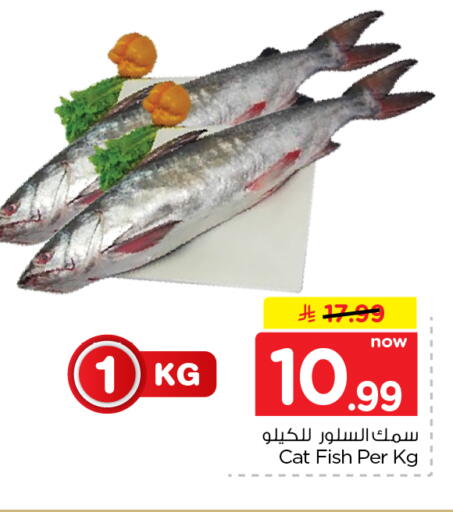 متوفر لدى نستو في مملكة العربية السعودية, السعودية, سعودية - الرياض