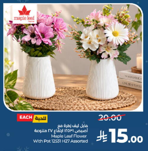 available at LULU Hypermarket in KSA, Saudi Arabia, Saudi - Medina