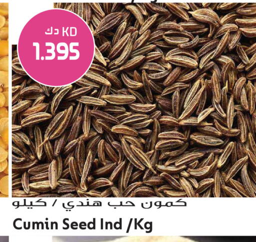 Cumin متوفر لدى جراند هايبر في الكويت - محافظة الجهراء