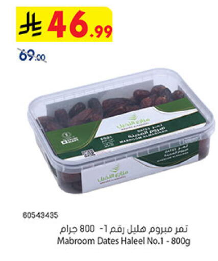 متوفر لدى بن داود في مملكة العربية السعودية, السعودية, سعودية - المدينة المنورة