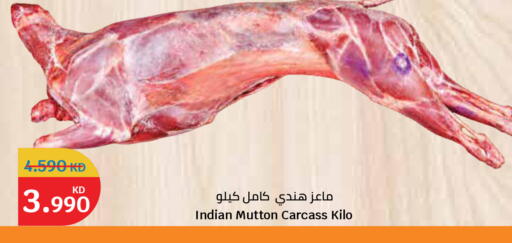 available at City Hypermarket in Kuwait - Ahmadi Governorate