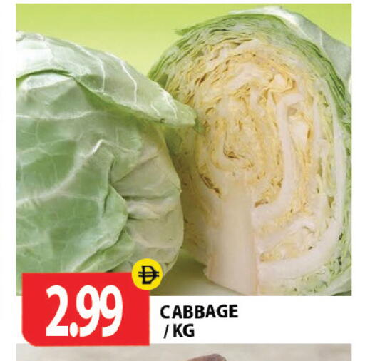 Cabbage متوفر لدى جلف هايبرماركت ذ.م.م في الإمارات العربية المتحدة , الامارات - رَأْس ٱلْخَيْمَة
