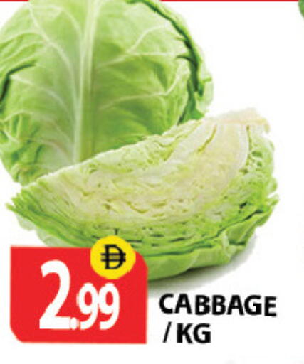 Cabbage متوفر لدى زين مارت سوبرماركت في الإمارات العربية المتحدة , الامارات - رَأْس ٱلْخَيْمَة