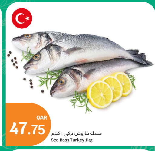 متوفر لدى سيتي هايبرماركت في قطر - الشمال