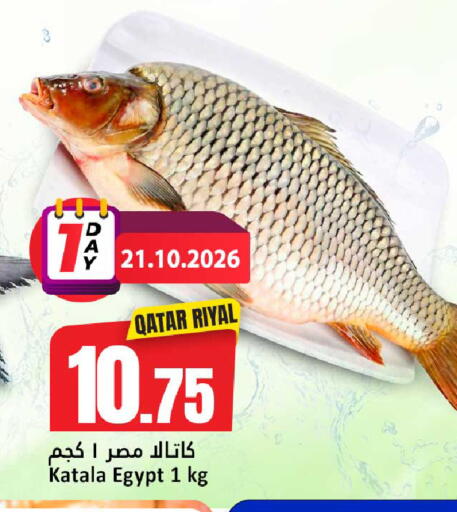 available at Dana Hypermarket in Qatar - Umm Salal