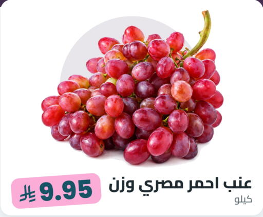 available at Tmoon Dammam in KSA, Saudi Arabia, Saudi - Dammam