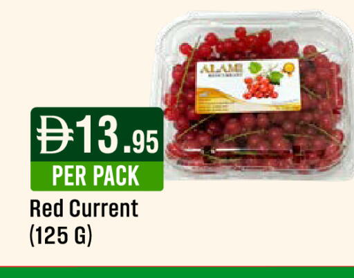 available at West Zone Supermarket in UAE - Dubai