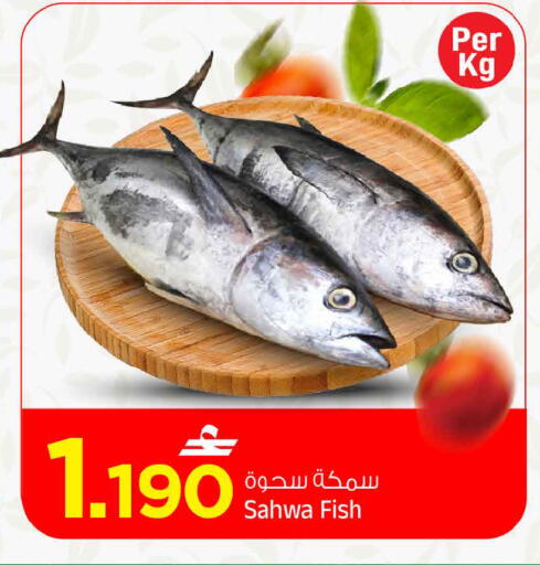 متوفر لدى مارك & سايف في عُمان - مسقط‎