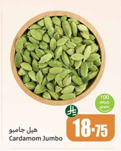 Cardamom متوفر لدى أسواق عبد الله العثيم في مملكة العربية السعودية, السعودية, سعودية - عنيزة