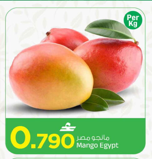 Mango من Egypt متوفر لدى مارك & سايف في عُمان - مسقط‎