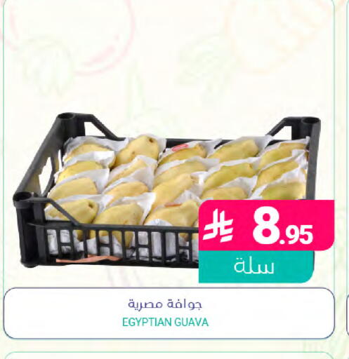 Guava from Egypt available at Muntazah Markets in KSA, Saudi Arabia, Saudi - Saihat
