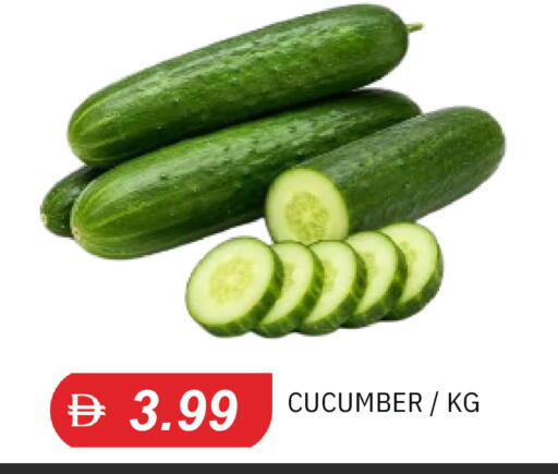 Cucumber available at TALAL MARKET in UAE - Dubai