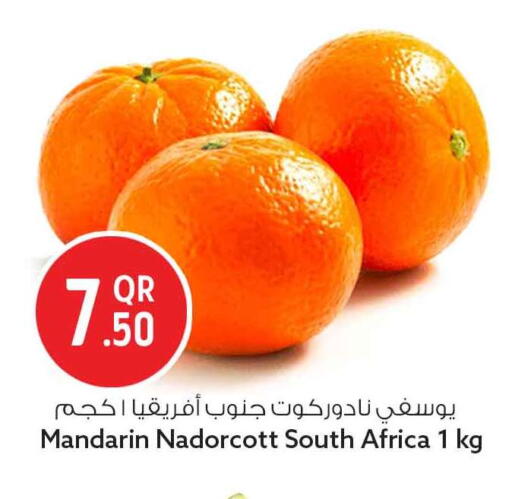 Mandarin من South Africa متوفر لدى سفاري هايبر ماركت في قطر - الضعاين