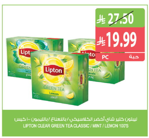 Lemon Mint متوفر لدى المزرعة في مملكة العربية السعودية, السعودية, سعودية - سيهات