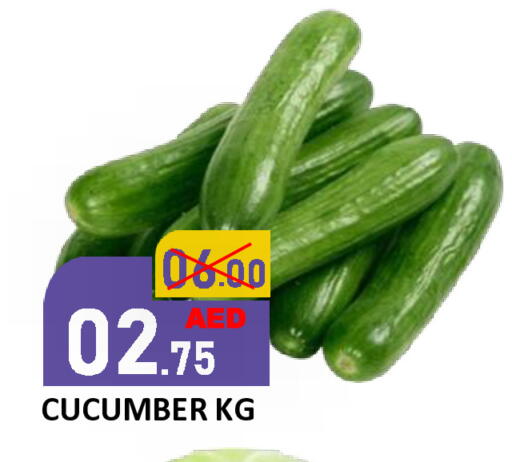 Cucumber available at ROYAL GULF HYPERMARKET LLC in UAE - Abu Dhabi