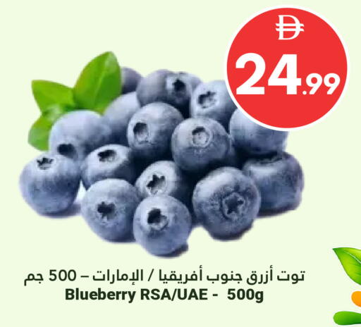 Blueberry BlueBerry available at Grand Emirates Market in UAE - Abu Dhabi