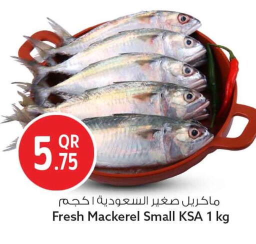 متوفر لدى سفاري هايبر ماركت في قطر - الريان