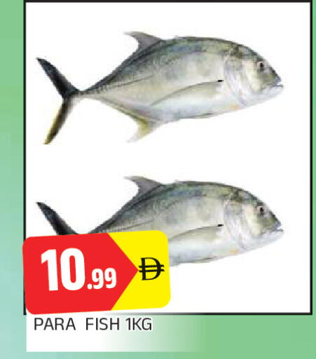 available at AL MADINA in UAE - Sharjah / Ajman