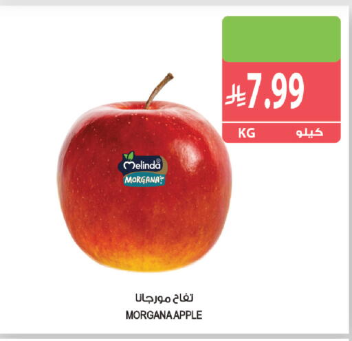 Apple available at Farm  in KSA, Saudi Arabia, Saudi - Sakaka