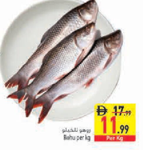 available at Safeer Market in UAE - Sharjah / Ajman