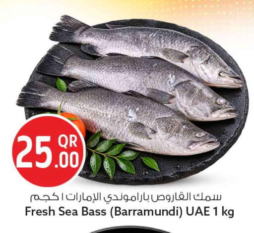 متوفر لدى سفاري هايبر ماركت في قطر - الريان