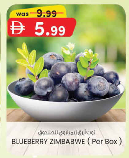 Blueberry BlueBerry من Zimbabwe متوفر لدى ك. الم. للتجارة في الإمارات العربية المتحدة , الامارات - دبي