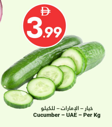 Cucumber available at Grand Emirates Market in UAE - Abu Dhabi
