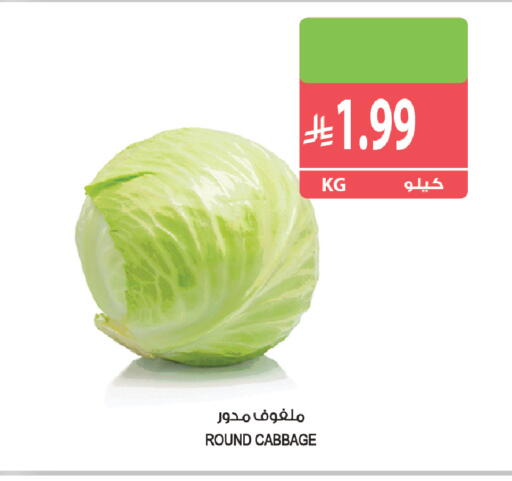 Cabbage available at Farm  in KSA, Saudi Arabia, Saudi - Al Khobar