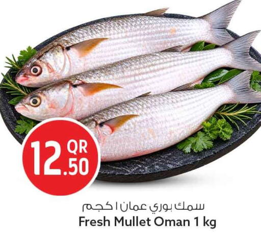متوفر لدى سفاري هايبر ماركت في قطر - الريان