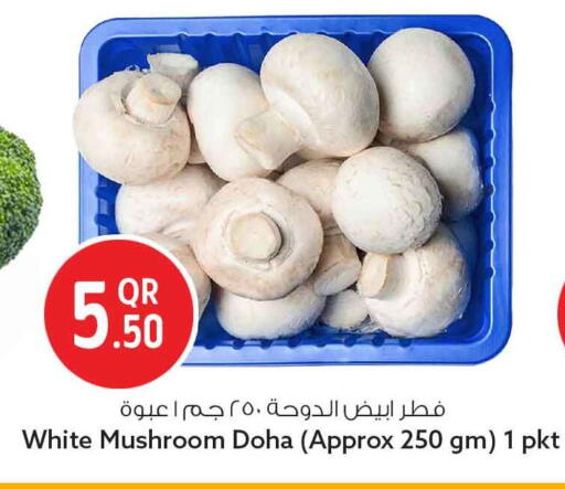 Mushroom من Qatar متوفر لدى سفاري هايبر ماركت في قطر - الضعاين