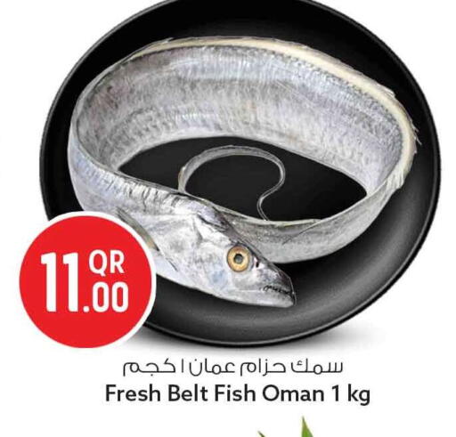 متوفر لدى سفاري هايبر ماركت في قطر - الريان