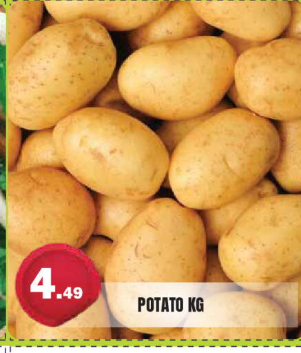 Potato متوفر لدى سنابل بني ياس في الإمارات العربية المتحدة , الامارات - ٱلْعَيْن‎