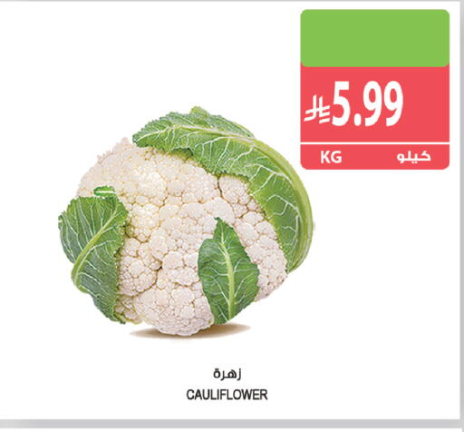 Cauliflower متوفر لدى المزرعة في مملكة العربية السعودية, السعودية, سعودية - جازان