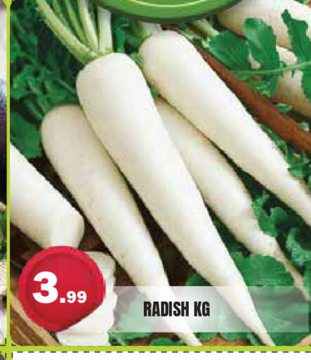Radish متوفر لدى سنابل بني ياس في الإمارات العربية المتحدة , الامارات - ٱلْعَيْن‎