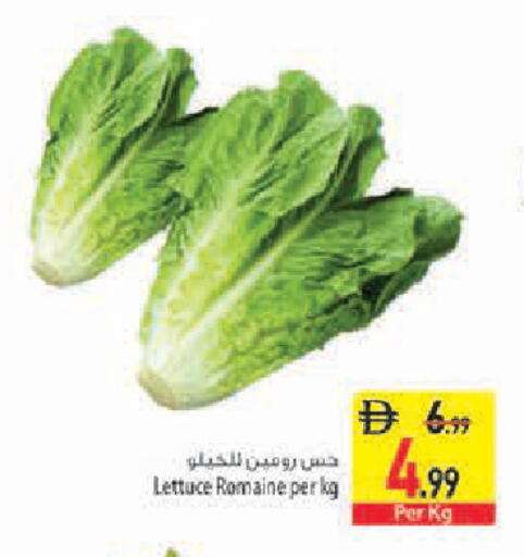 Lettuce available at Safeer Market in UAE - Sharjah / Ajman