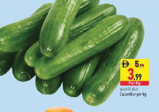 Cucumber available at Safeer Market in UAE - Sharjah / Ajman